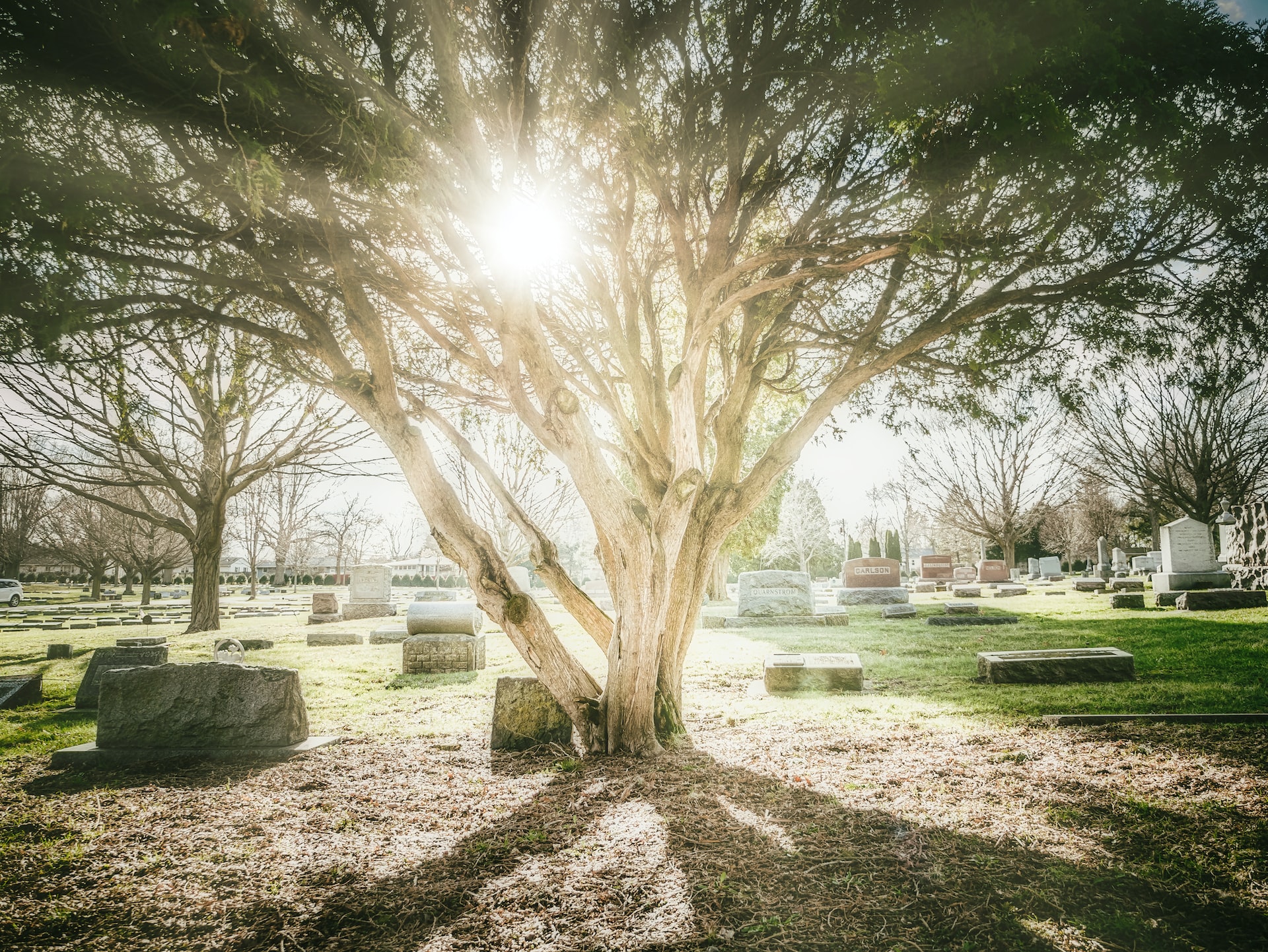 Types of Cemetery Plots: A Guide for Finding a Suitable Resting Place