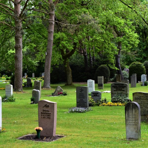 Who Should Buy a Cemetery Plot