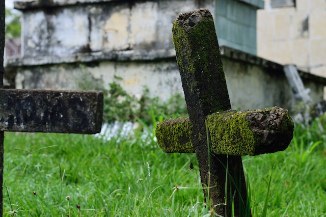 Green Burial Options in Canada: Exploring Environmentally-Friendly Funeral Choices