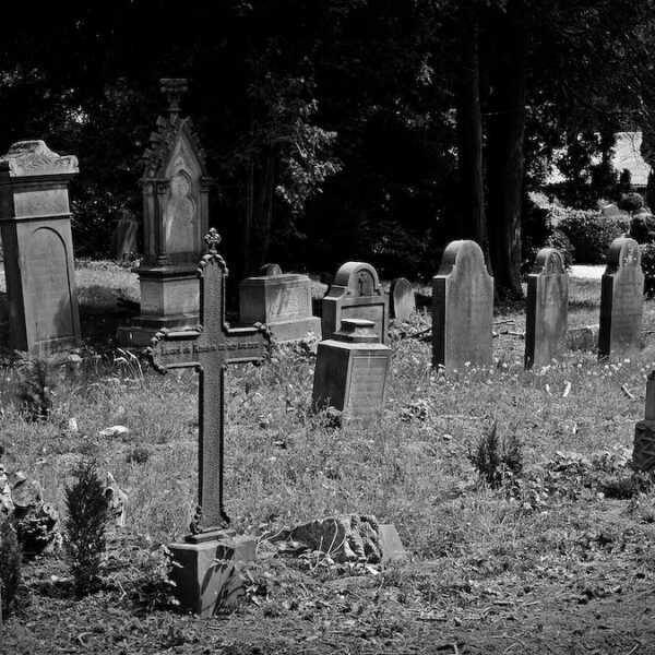 Private vs. Public Cemeteries: Which Is Right for You?