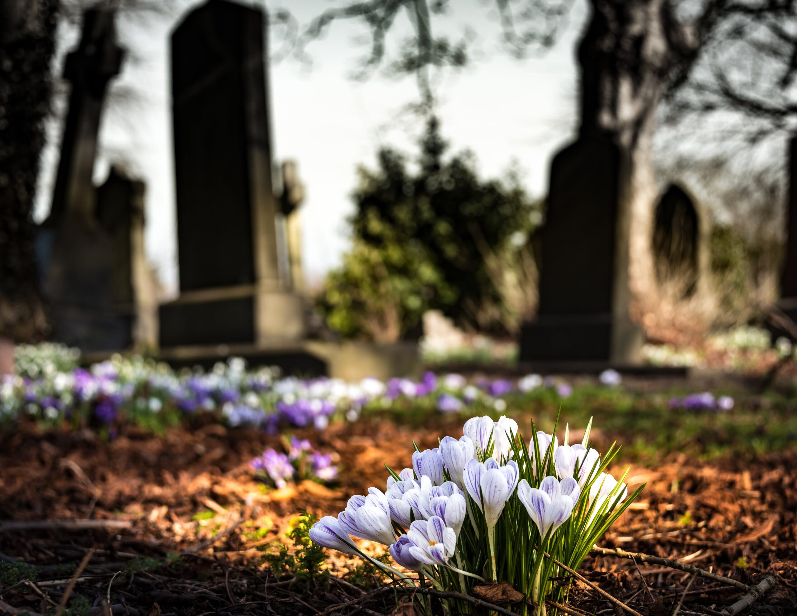 Canada’s Most Beautiful Cemeteries to Visit in 2023