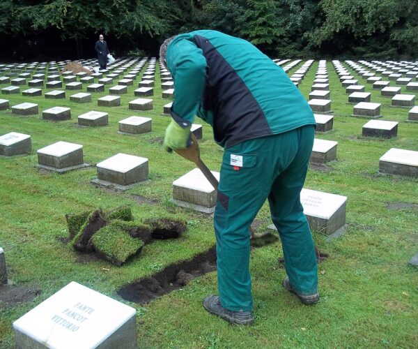 The Process of Exhumation and Moving Cemetery Plots in 2024