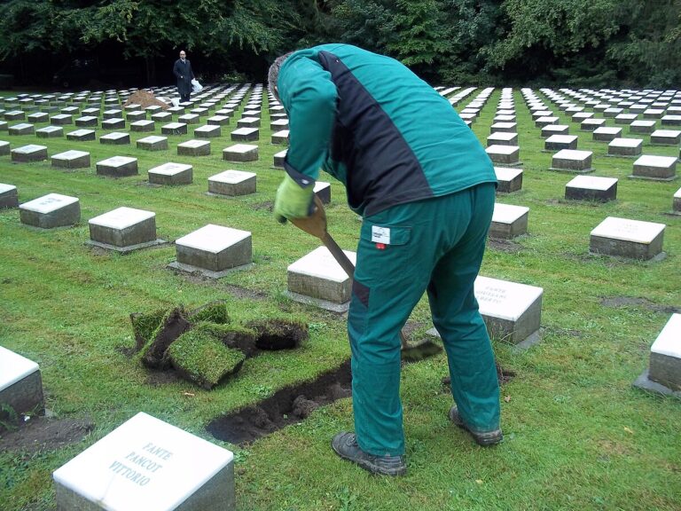 The Process of Exhumation and Moving Cemetery Plots in 2024 | Grave Listing