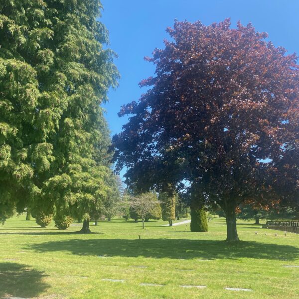 Ocean View Cemetery Single Burial Plot  - Burnaby B.C