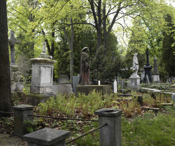 Stories Written in Stone: Cemeteries as Silent Historians:-
