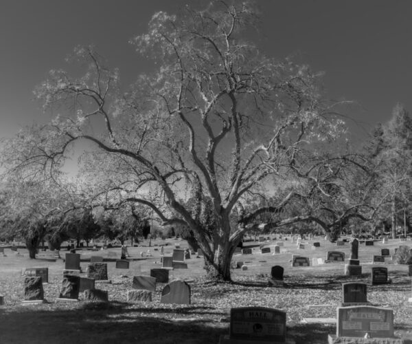 Discovering the Final Resting Place