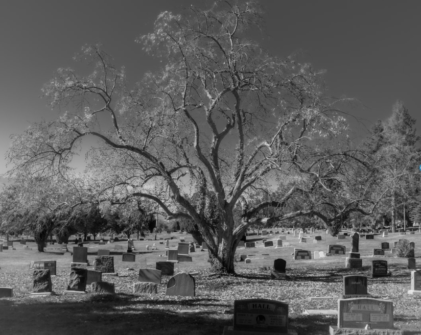 Discovering the Final Resting Place