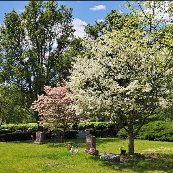 Affordable Burial Plot for Sale – Calvary Cemetery, Indianapolis
