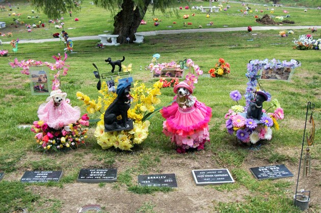 Pet Burial Near Me: Find the Right Burial or Cemetery Plot
