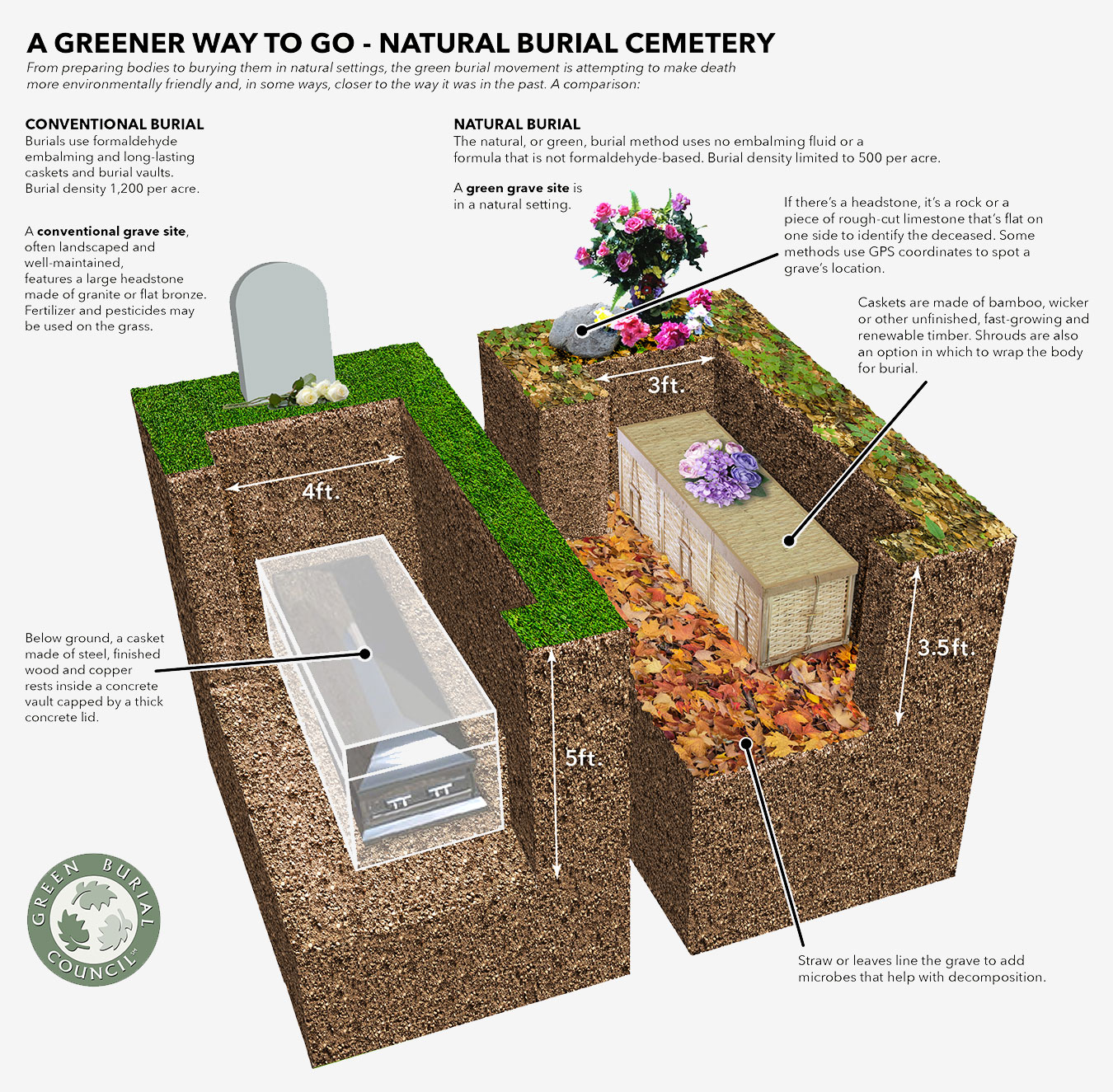 Natural Burial: The Complete Guide to Burial Plots for Sale in North America