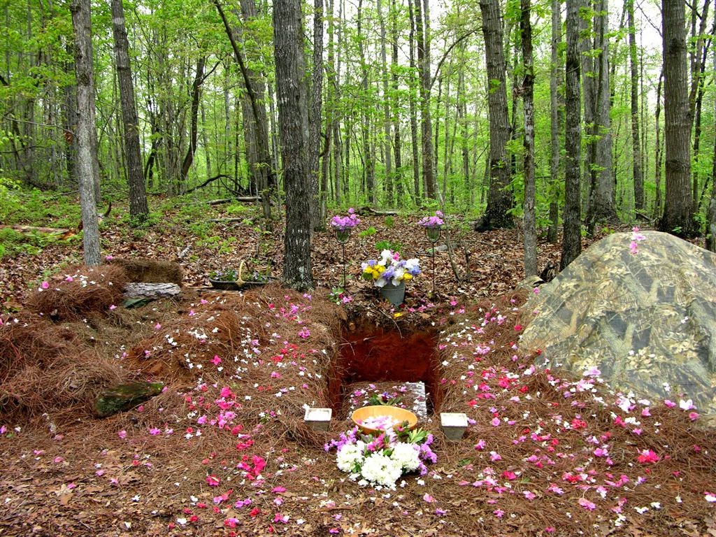 Natural Burial: The Complete Guide to Burial Plots for Sale in North America