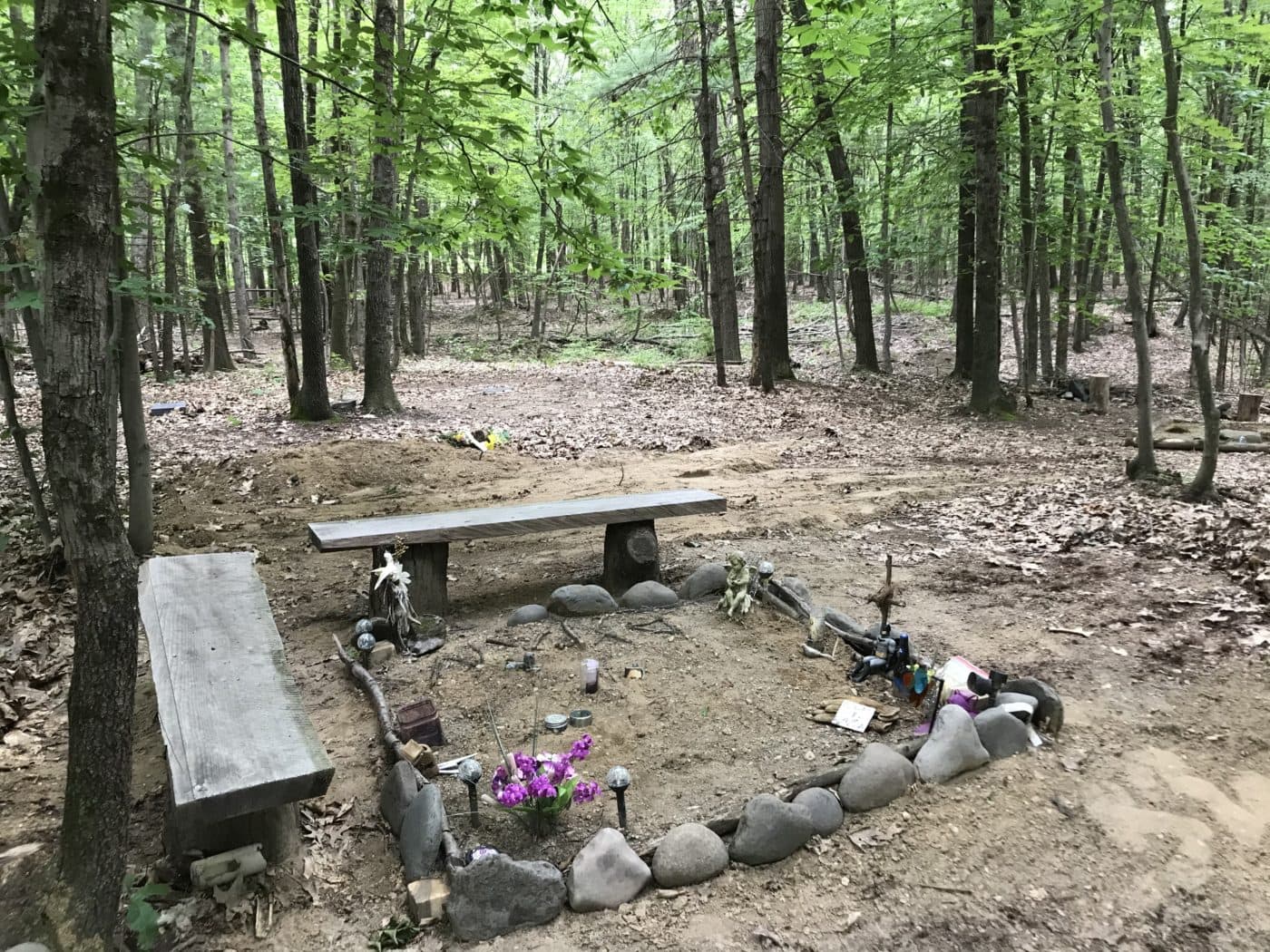 Natural Burial: The Complete Guide to Burial Plots for Sale in North America