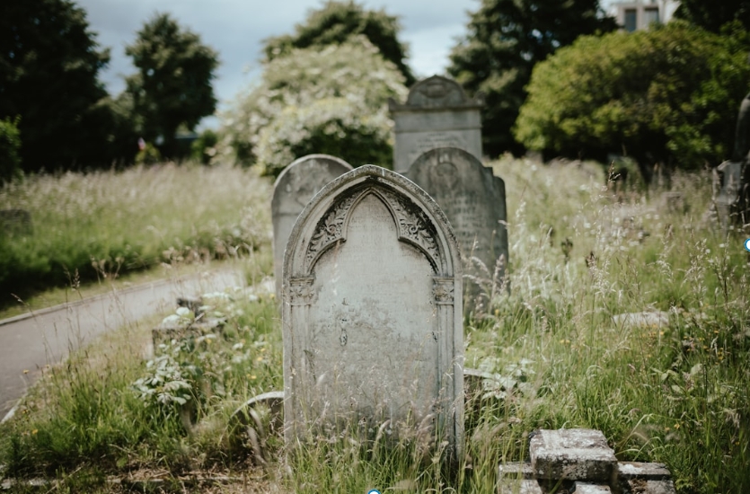 The History and Significance of Burial Practices