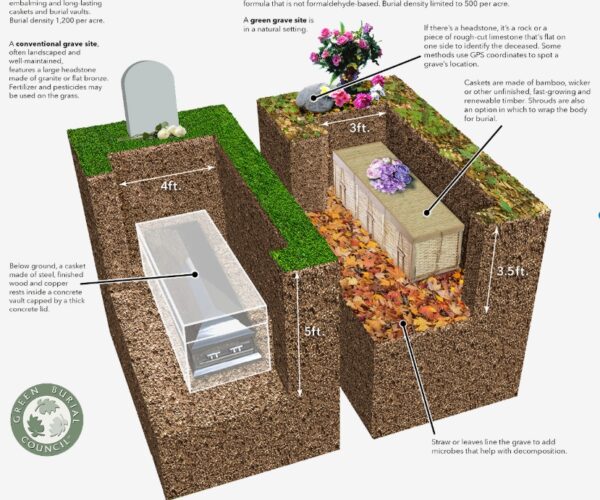 Natural Burial: The Complete Guide to Burial Plots for Sale in North America