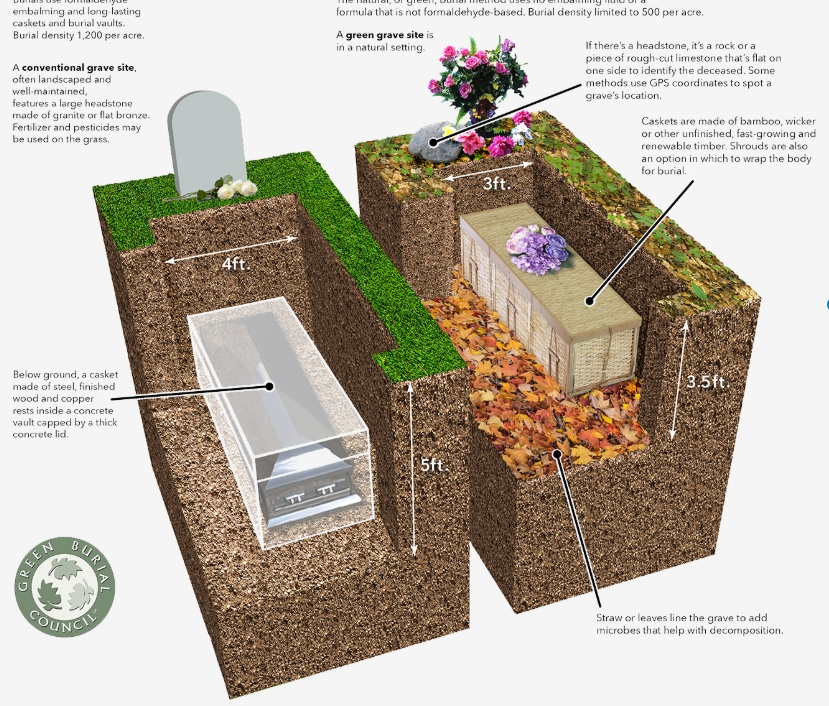 Natural Burial: The Complete Guide to Burial Plots for Sale in North America