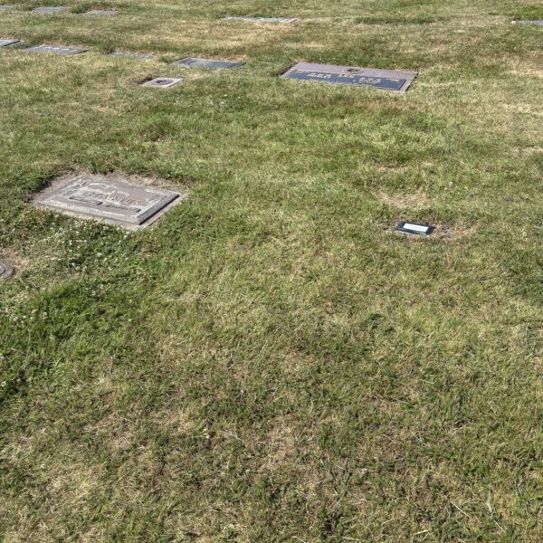 Single In-Ground Plot at Forest Lawn Cemetery – Immediate Sale