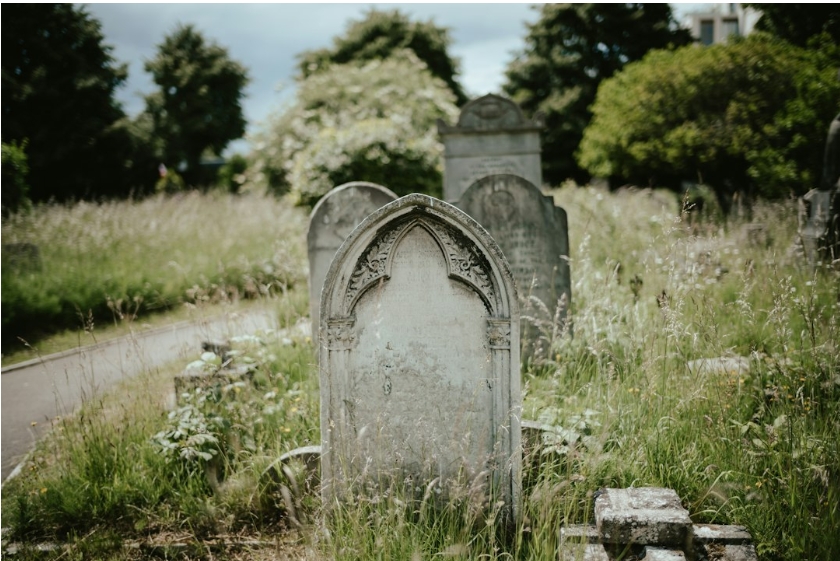 The History and Significance of Burial Practices