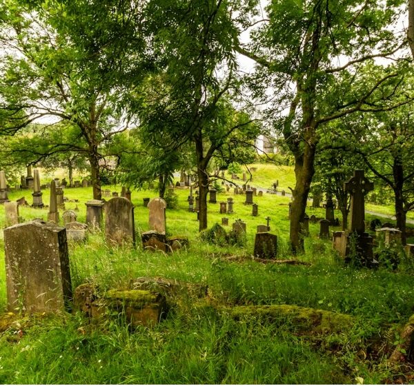 Owner Selling Cemetery Plots: Find Your Final Resting Place