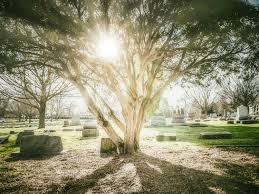 Glendale Memorial Garden premium grave plots + vaults + interments